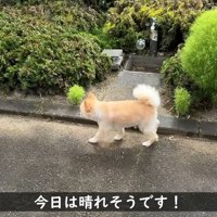 起きたらお庭をお散歩♪
