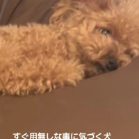 「まったく起こさないでよ～」