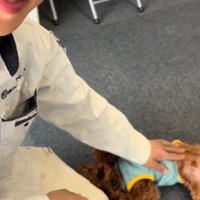 仕事の時間を奪われる！？