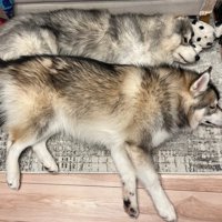 とっても仲良し♡