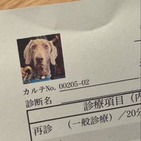 カルテ用