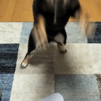 おやつ