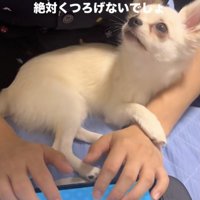 「どしたん？」