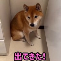 出てきたロックくん