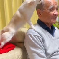 頭をペロペロ…