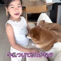 …と思いきや、牛乳を舐めていただけ！？