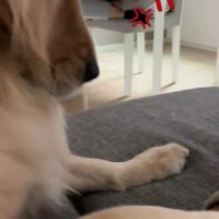 クサさに負けちゃった！？