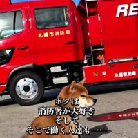 訓練をじっと見学
