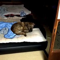 まさかの場所にいたりゅうさん⑩