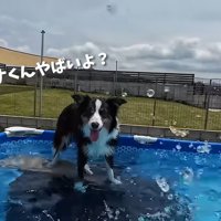 あきれ顔のメルちゃん