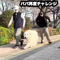 慌てて追いかけて…