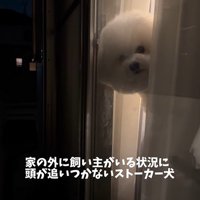 バレないで家を出られるか挑戦7