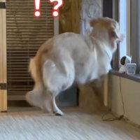 突然の大きな音が