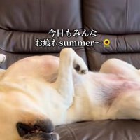 堂々とした姿にクスッ