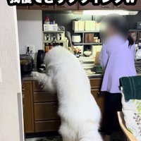「まだかな？まだかな？」