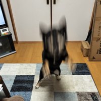 残像