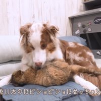 ビショビショになる運命！？