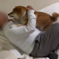 キュンキュン