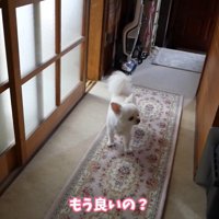 一瞬で出てきた！？