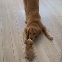 目線を下げてご挨拶♪