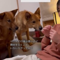 ベッドに近づく