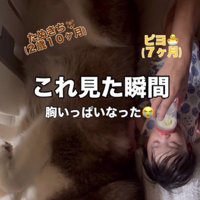 添い寝をするのは…