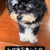 「お土産は？」とチラ見