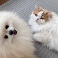 今日も仲良し♪