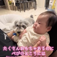 手に持たせてあげようとしてる？