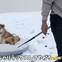 板につきすぎてる…！！