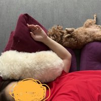 みんなでくつろぐ、幸せな時間