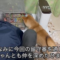 おじいちゃんとも仲良しに