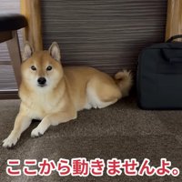 お風呂はお断りします