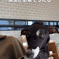 穴の位置はとても難しい