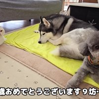 これからも幸せにね！！