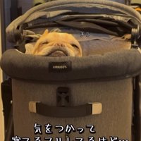 「寝てるふりしとくか」