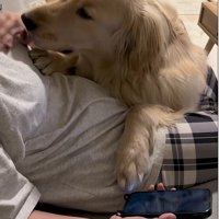 スマホを置くと…