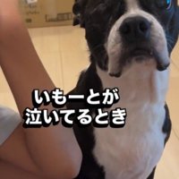 8年後の変化にビックリ！