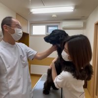 「何やるつもりなの…！？」