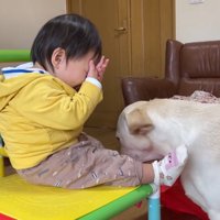 ガードしているけれど嬉しそう