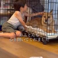 おふとん君の変化6