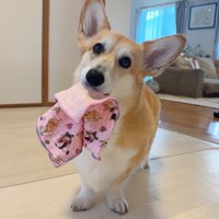 口元