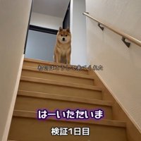 おやつをやめてみたら…？