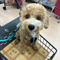 成長中のたむ君4