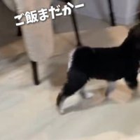 はるちゃん