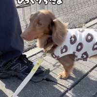 「はこんじゃった…」