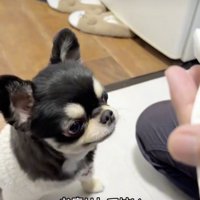 お薬の時間です