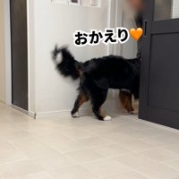 ついにパパさんが帰宅！