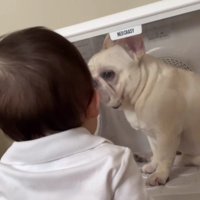 「閉じ込められてる…」