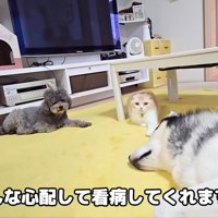 ずっと看病してくれていたようです♪